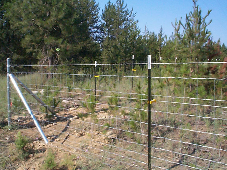 Hog Wire Field Fence