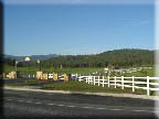 Entry combined with automatic gates installed by valley fence