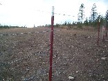 4 strands of barbed wire with red T125 weight t-posts