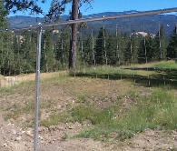 6' 6 inch Deer Fence With Galvanized Posts For The Line Posts And For The Top Rail