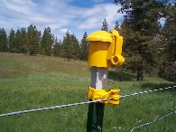 T-125 post with cap and hot wire, available in black or white or yellow caps as well