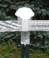 T-post with White electric ribbon and white cap