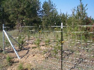 47 inch field fence with 1 wire in the middle and 1 Barbless wire on top